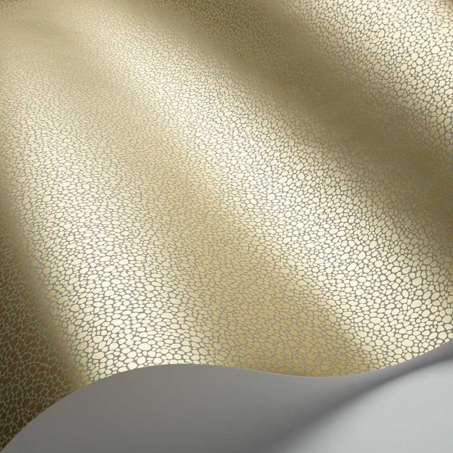 Cole and Son Curio Goldstone 107/9041 Wallpaper Naken Interiors